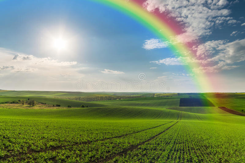 Фото из открытого доступа.