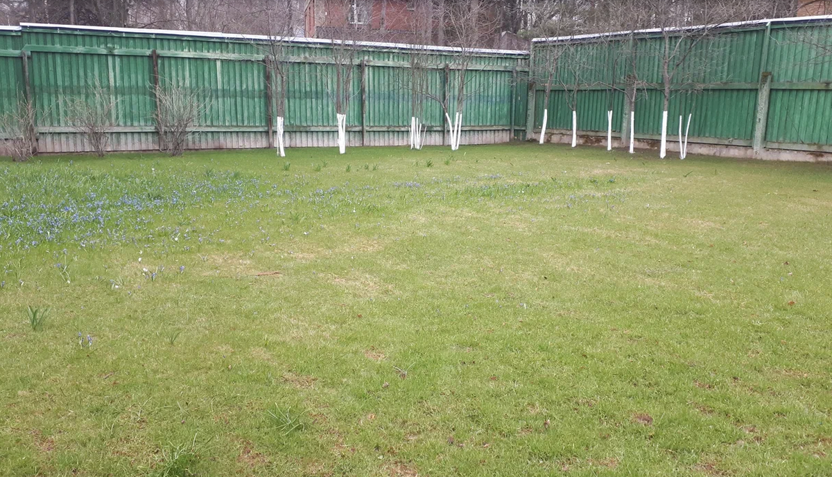 Фотография взята из источника blagoveshensk.com