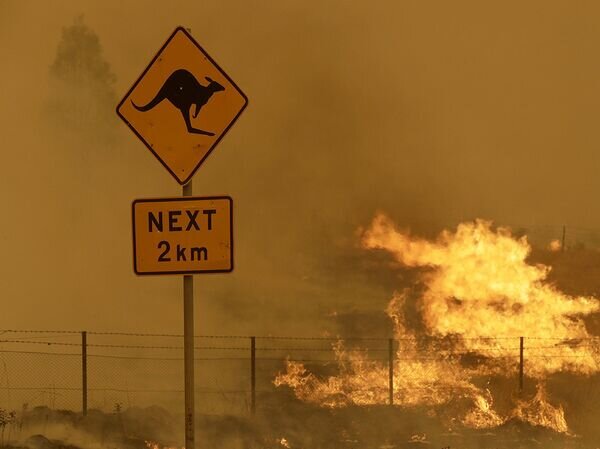   © AP Photo / Rick Rycroft