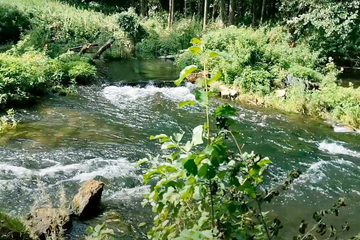 Водные препятствия на реке Ушна