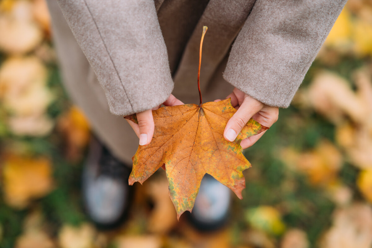 Vestir en otoño