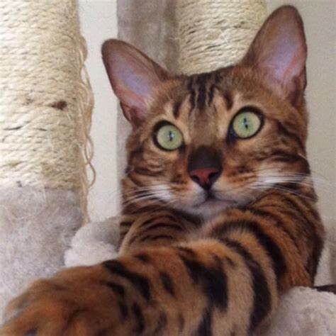 Фото из Интернета.