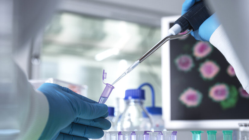   Gettyimages.ru Andrew Brookes