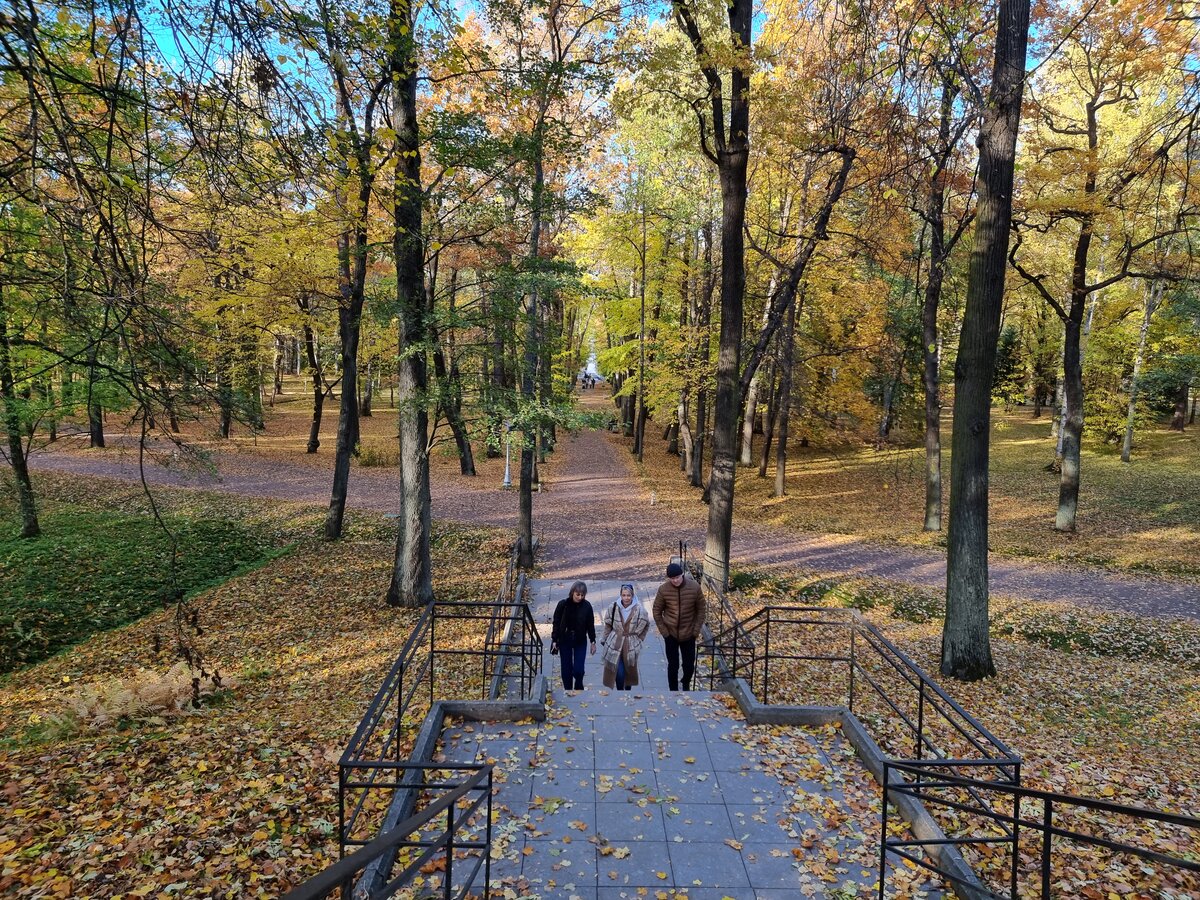 Лестница в парк для тех, кто выбрал вход с улицы Аврова