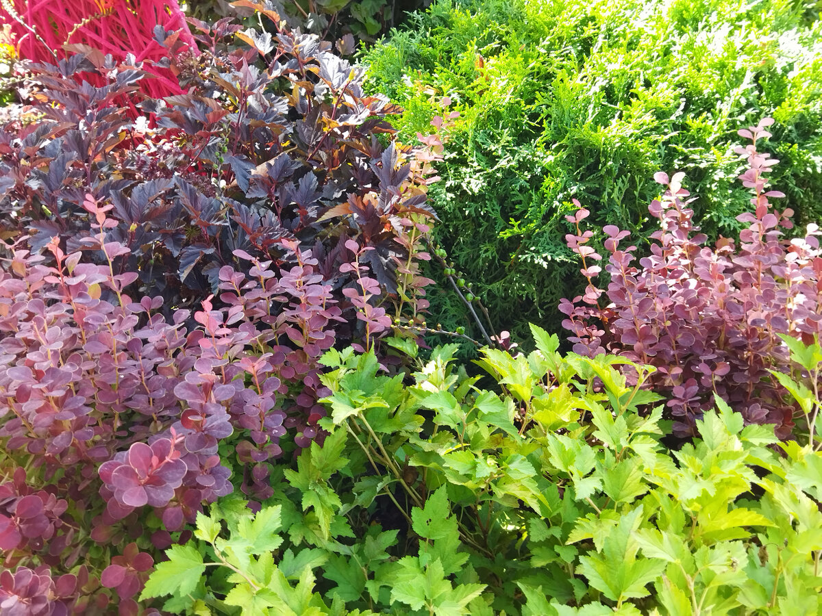 Фото автора. Кусочек лета...