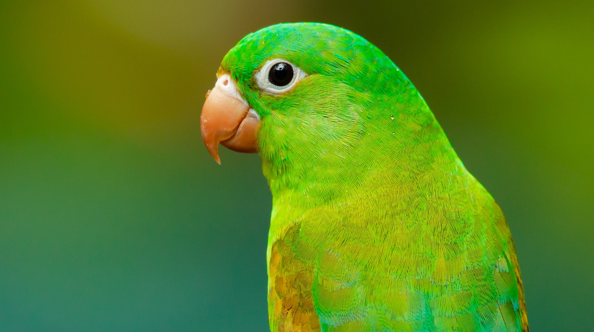 Фото: unsplash.com/@zmachacek