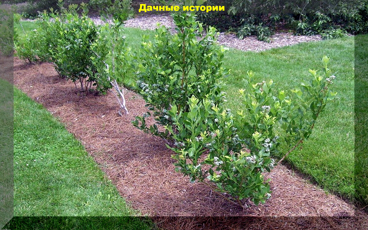 https://vk.com/photo-159774511_457256714