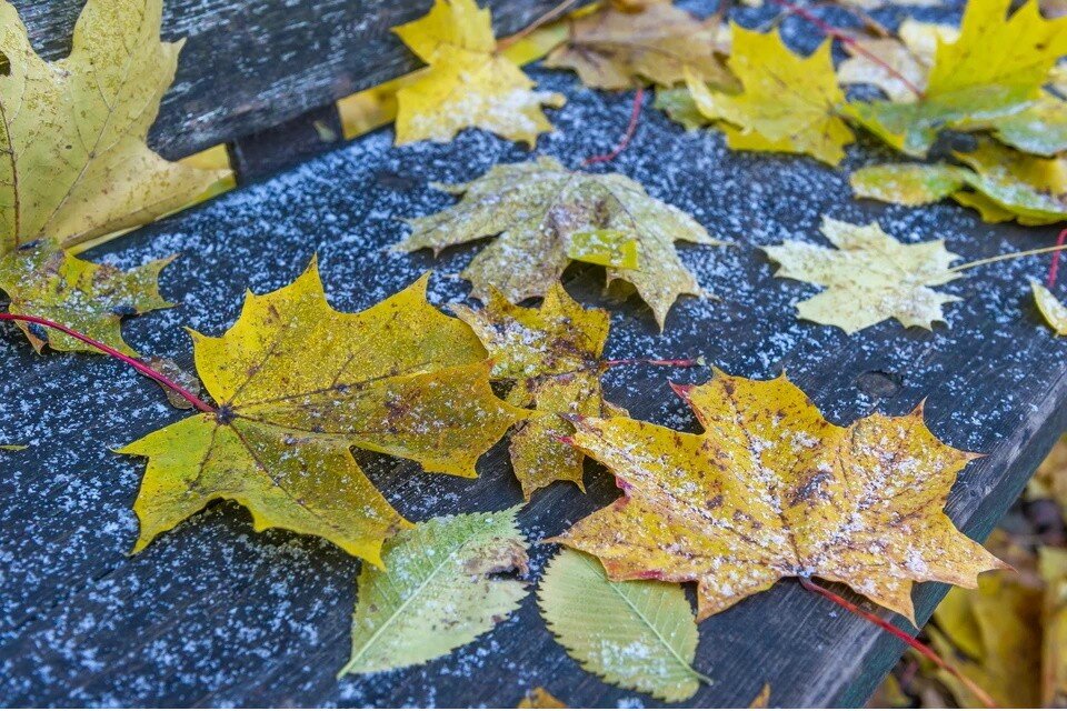     Атмосферное давление немного повысилось – 754 мм ртутного столба Олег ЗОЛОТО