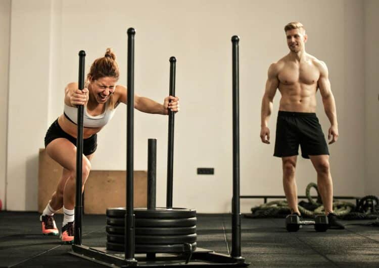 Выбор оптимальной тренировочной программы