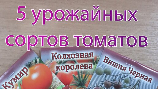 5 урожайных сортов томатов для теплицы