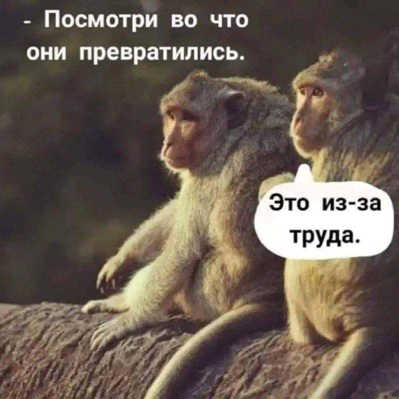 Некоторые ради денег готовы на всё. Даже работать 