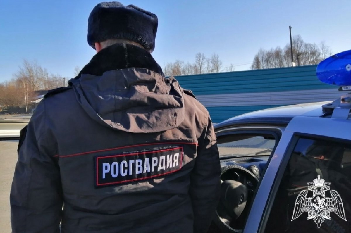    В Омской области росгвардейцы задержали 37-летнего пьяного водителя