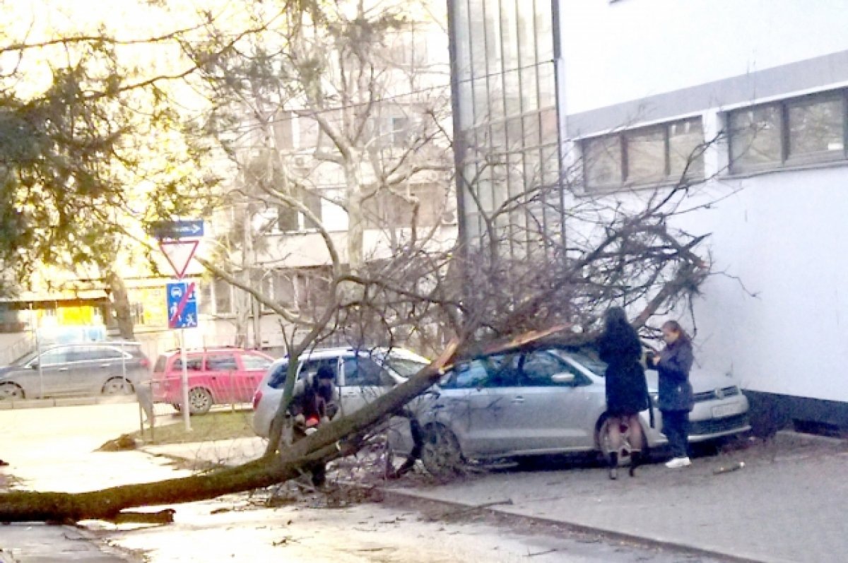    В Тверской области погодной опасности присвоен «желтый» уровень