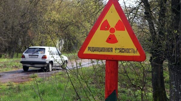   © Sputnik / Андрей Александров