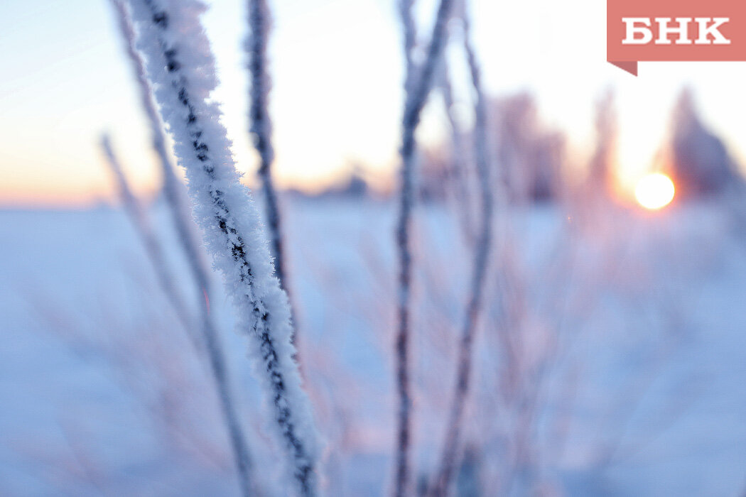 Фото Виктора Бобыря