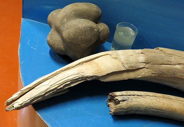 Из экспозиции Музея истории земледелия Якутии