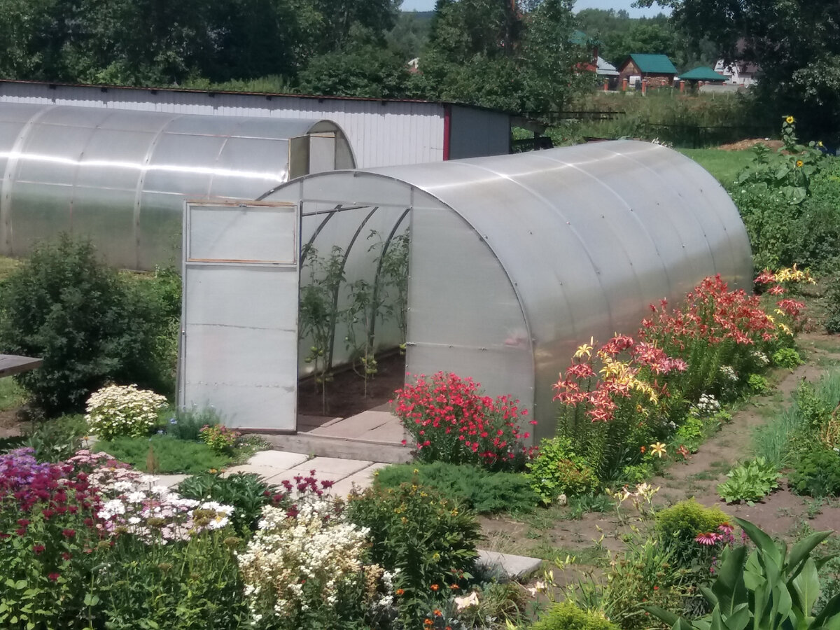 У нас обычная усиленная теплица из поликарбоната (не отапливаемая).