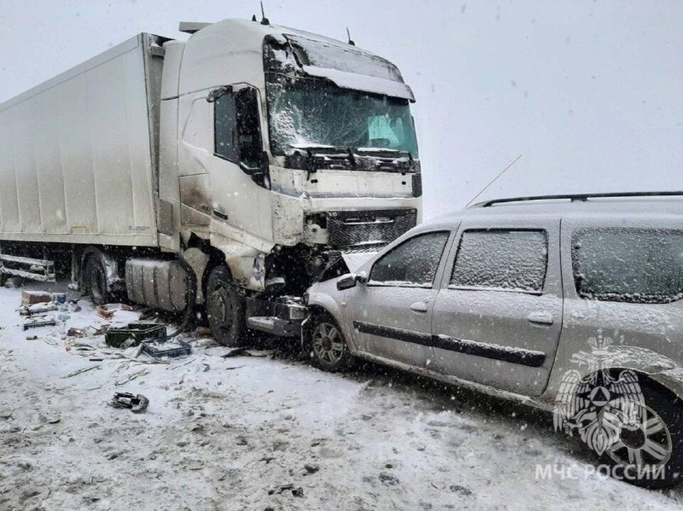    Фото: МЧС по Мурманской области