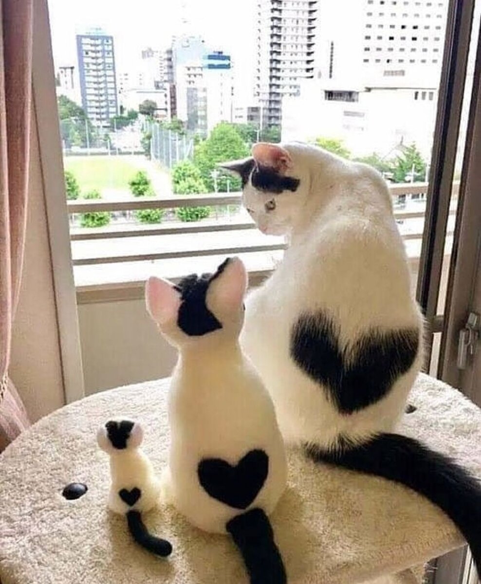 Символы любви❤️