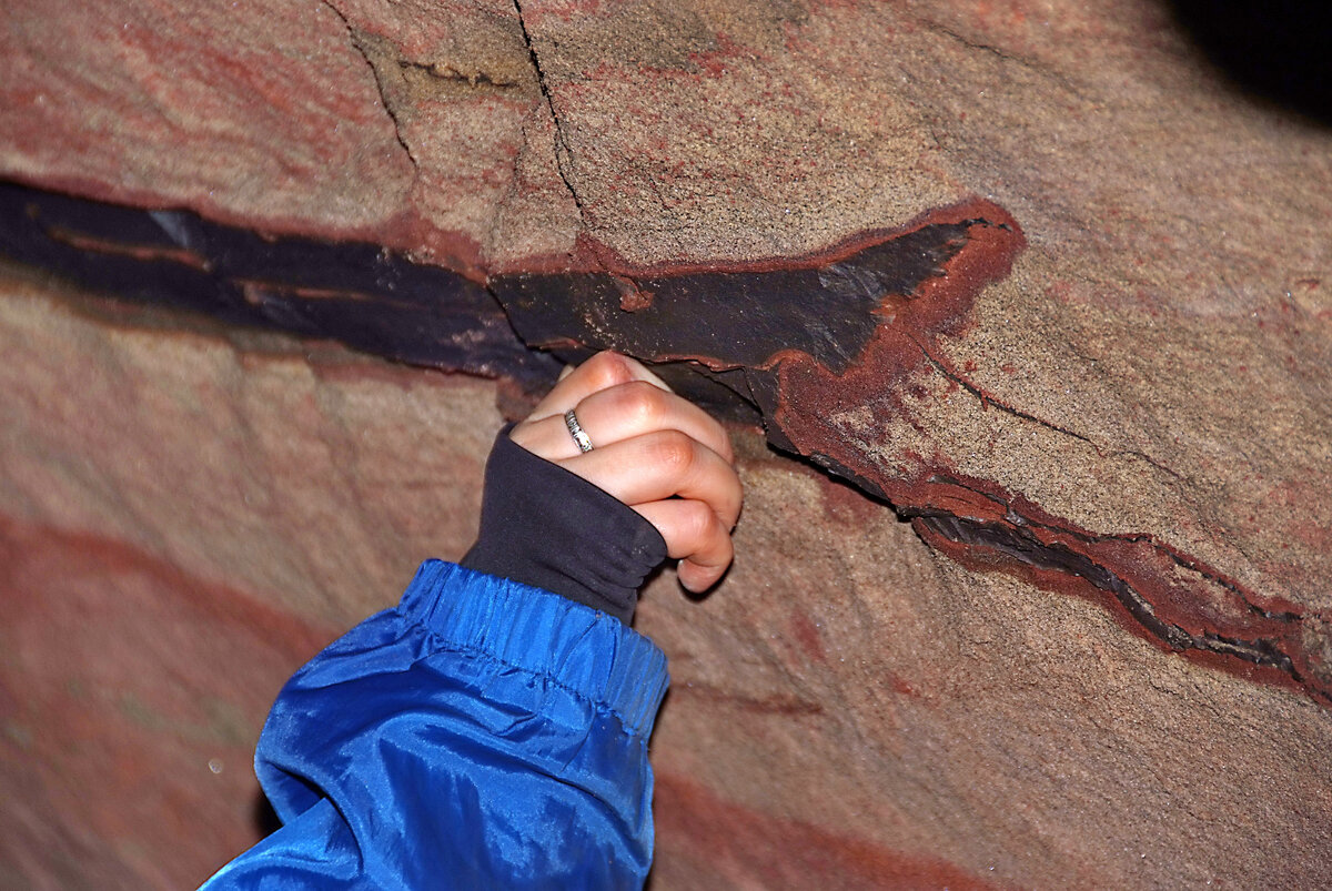 Прослойка диктионемового сланца, это главный источник радона здесь и в большей части Ленинградской области южнее Санкт-Петербурга.