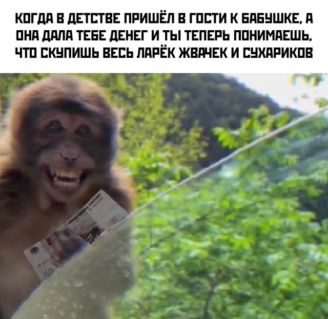 Фото с сайта: nevsedoma.com.ua
