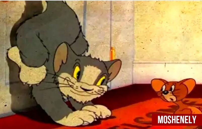 Все изображения использованные в этой статье были взяты с сайта Adme.ru и принадлежат их авторам.