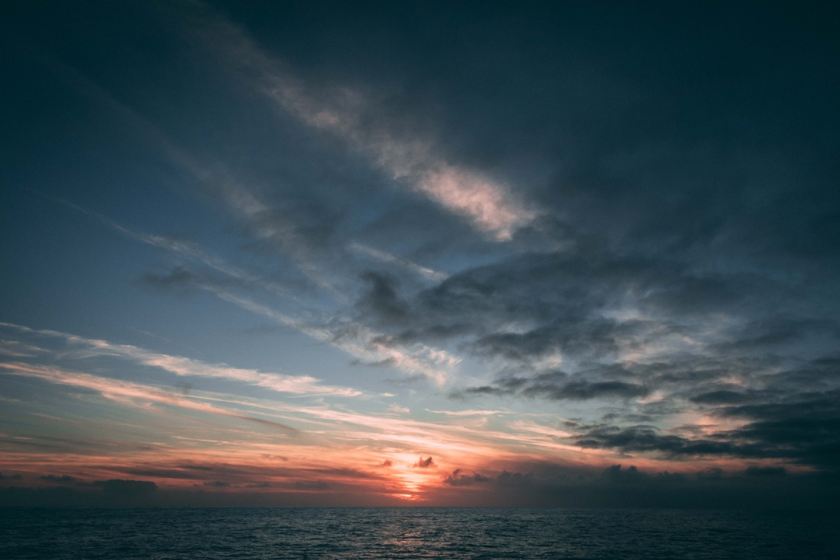 Photo by Oliver Paaske on Unsplash