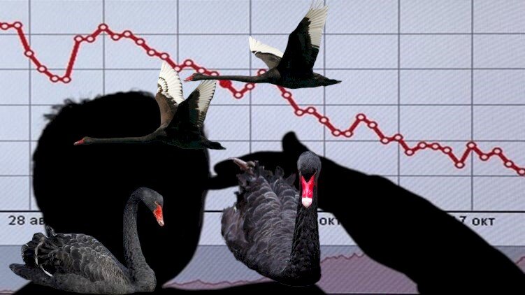 коллаж автора