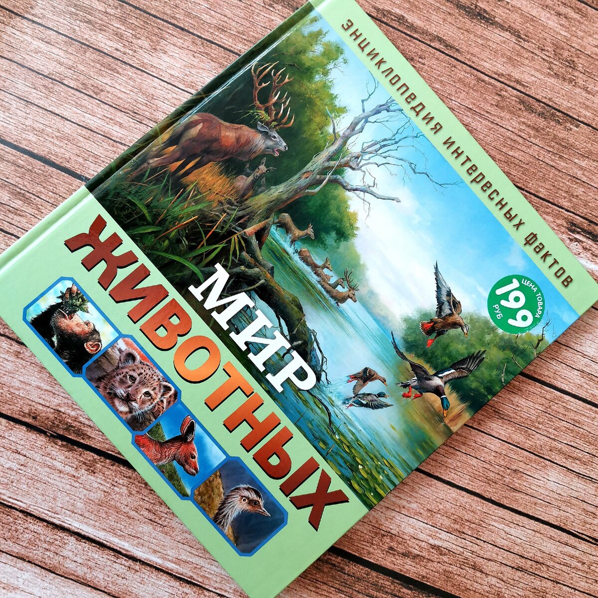 Цена всего 199р.