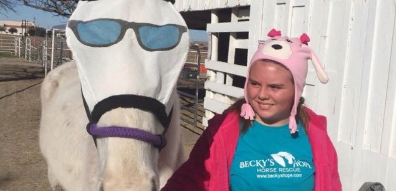 Выглядеть стильно - это его отличительная особенность. Фото: Becky's Hope Horse Rescue