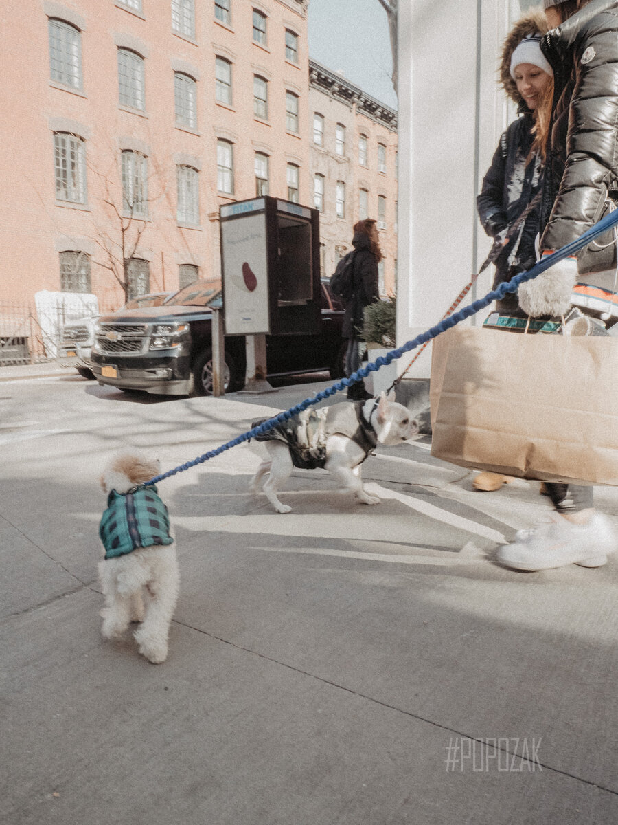 Неподалеку от дома Кэрри Брэдшоу в районе Greenwich Village