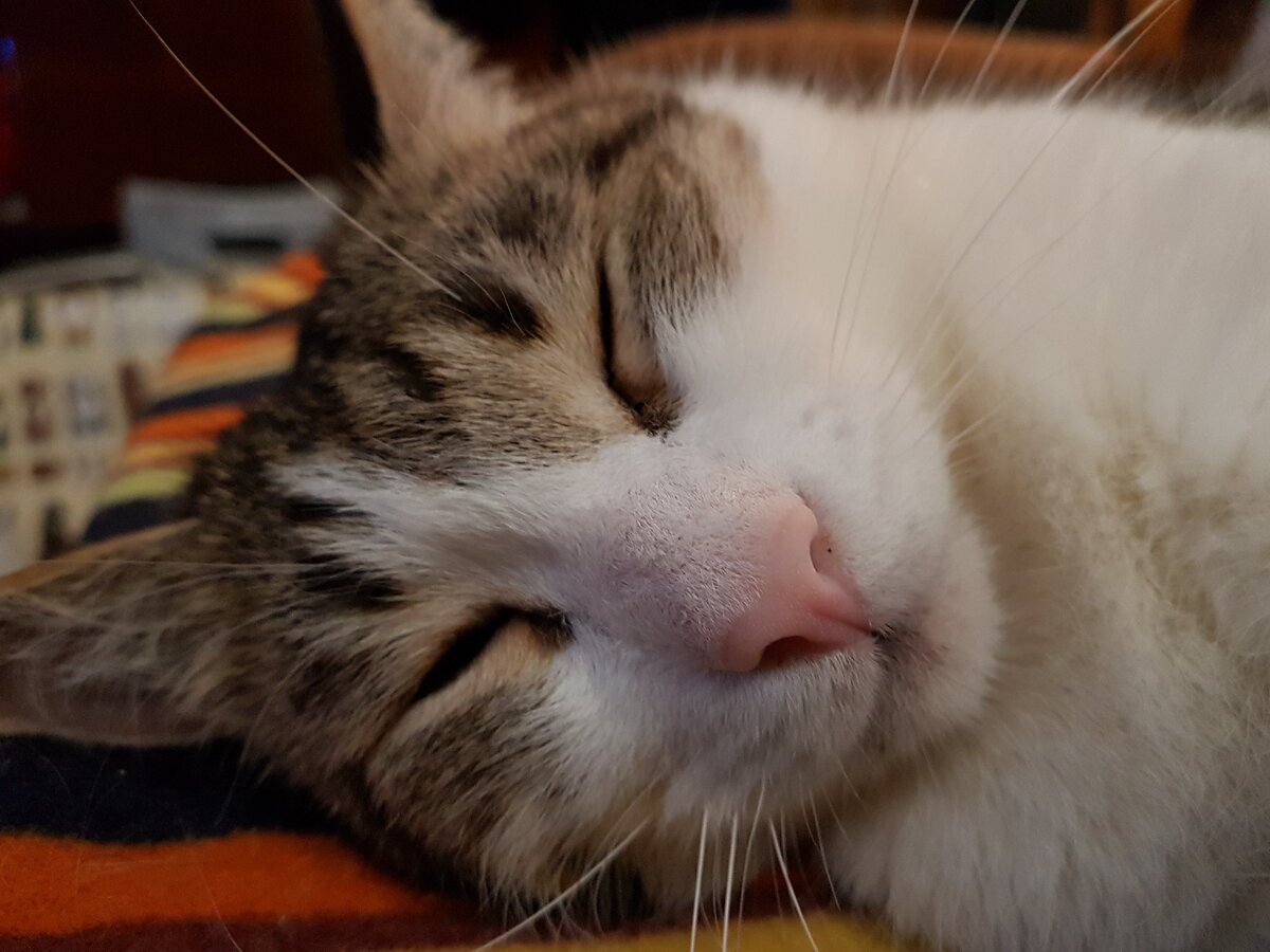 Фото из личного архива