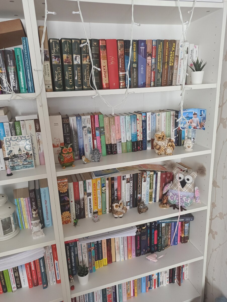 Мой книжный шкаф