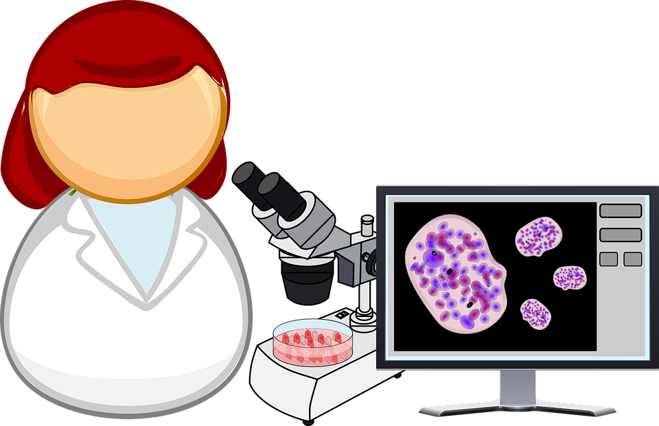 https://pixabay.com/vectors/analysis-biology-cell-cell-culture-2025834/