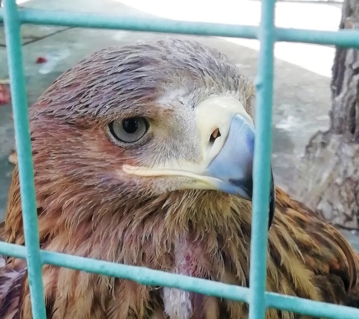 Пернатый обитатель заповедника