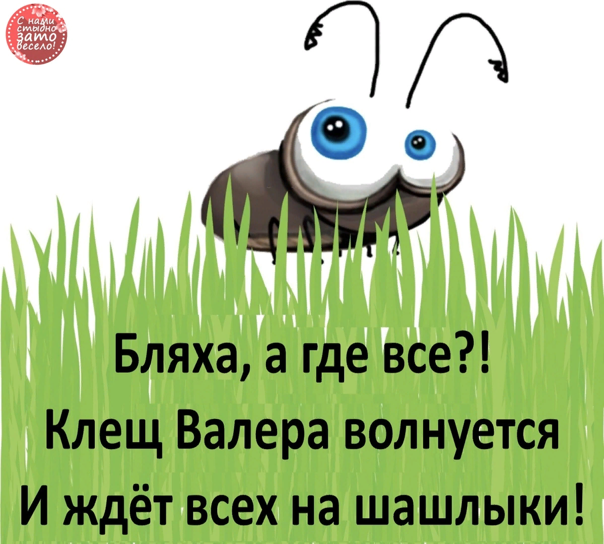 Клещ валера приглашает. Прикольные картинки про клещей. Смешные картинки с клещами. Клещ Валера картинка прикольная. Комар прикол.