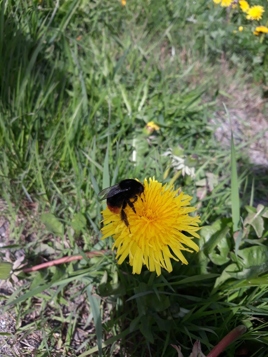 Фотография из личного архива