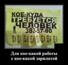 Фото взято из открытого доступа.