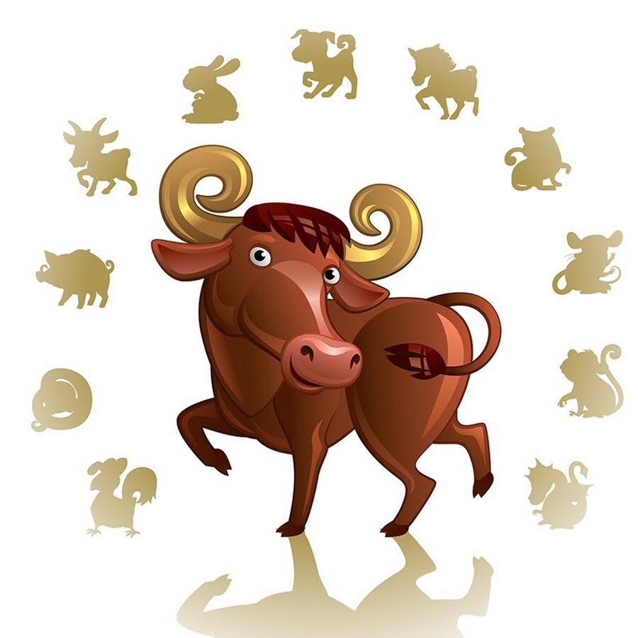 Год быка. Символ года - бык. Год быка 2021. Символы года. Фото символов года