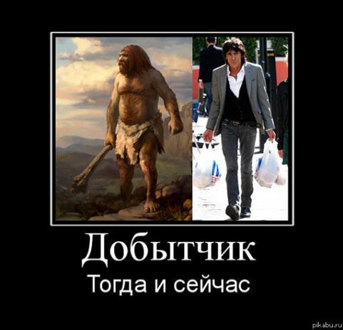 изображение из сети интернет и в свободном доступе