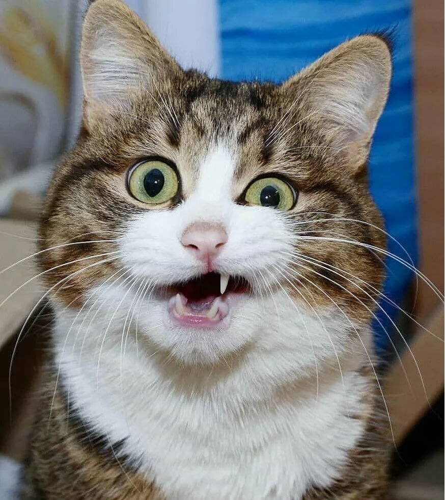 Глисты?... Мммерзость!