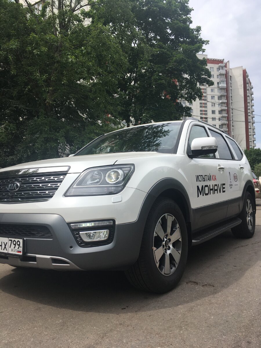 Он влюбил в себя с первого взгляда. 