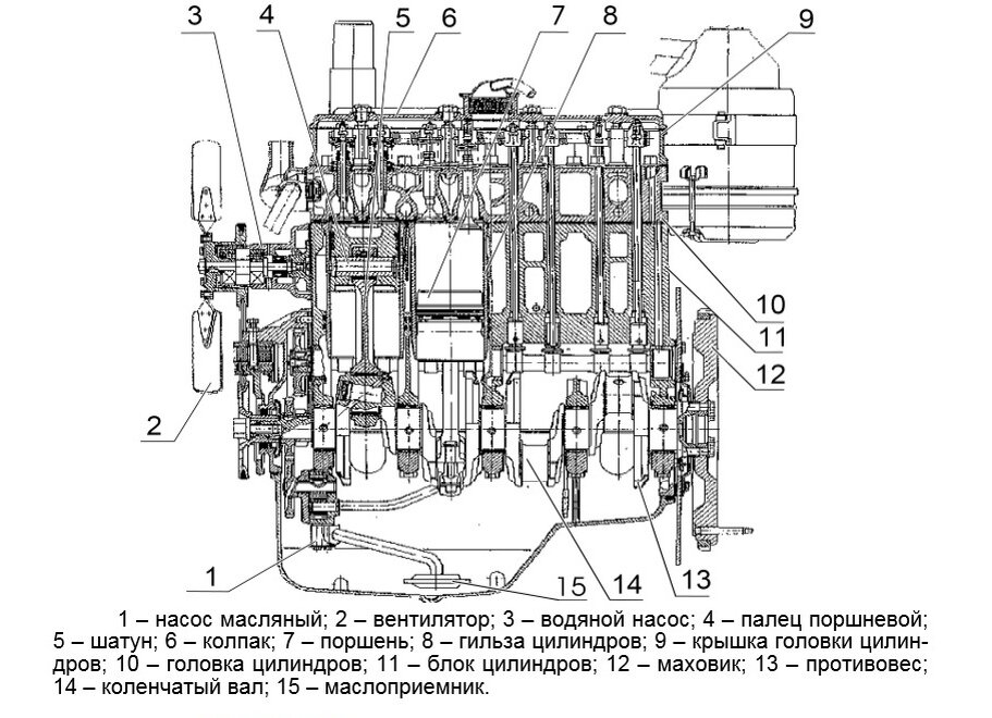 Дизель Д-245.5, вид слева (разрез)