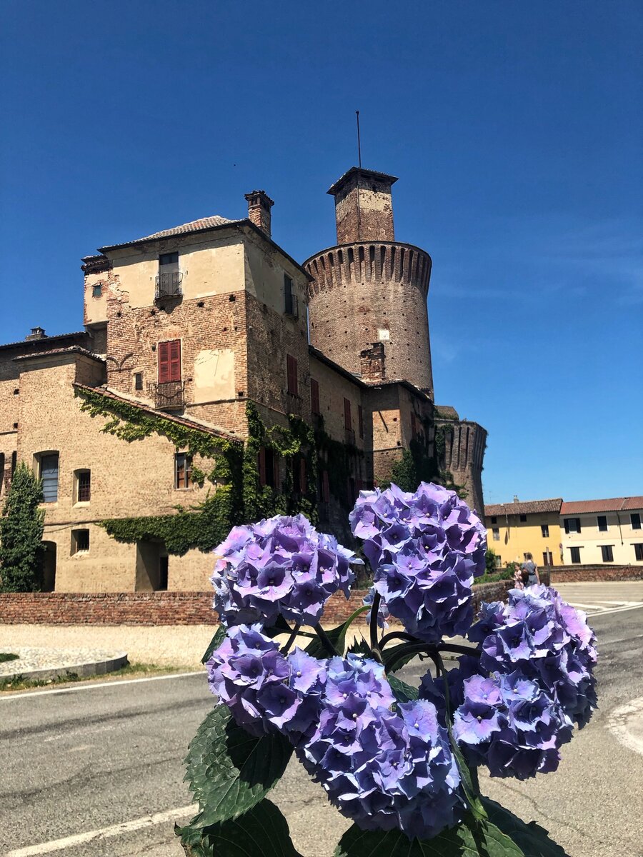 На обратном пути заехали в Sartirana Lomellina – замок, в котором собраны коллекции одежды известных итальянских брендов 80-90 гг. прошлого века. Город пустынный. Туристы, видимо, редкие гости. Хозяин говорит только на итальянском, но всячески старается рассказать так, чтобы его поняли. Этот цветочек он мне подарил за красивую улыбку. Фотография из личного архива