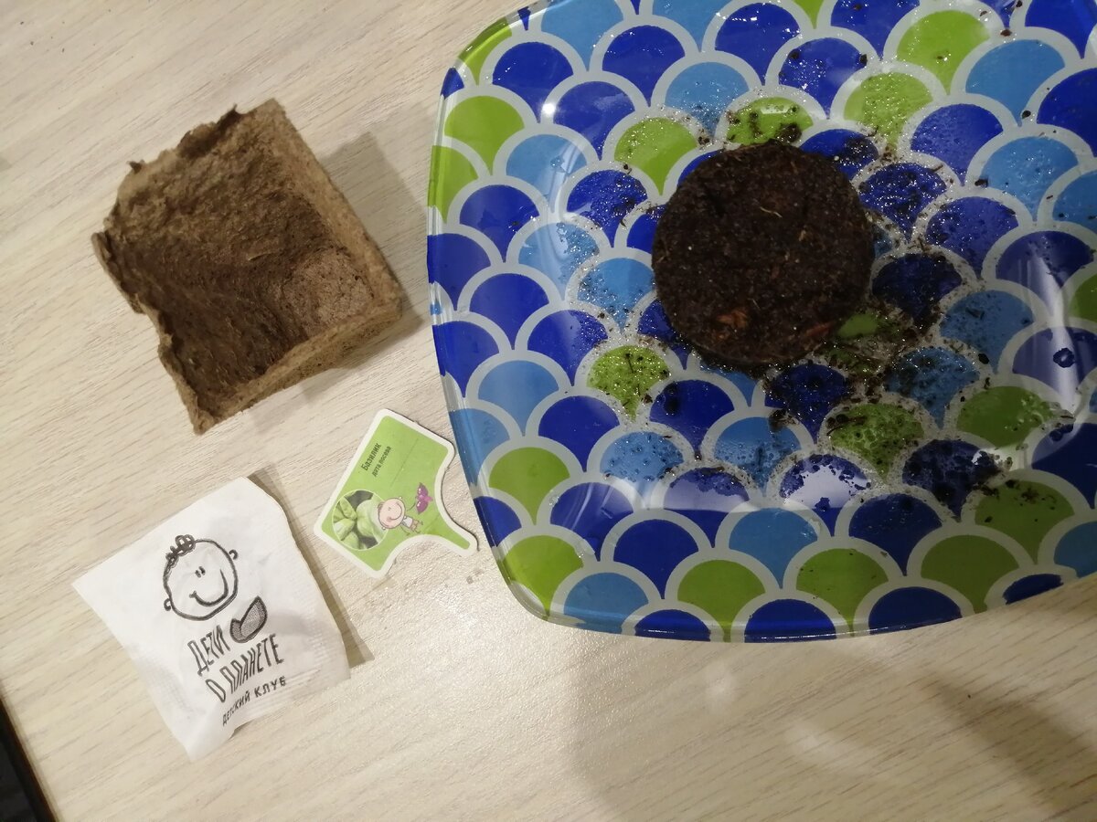 Набор: упаковка, горшочек, почва и семена 