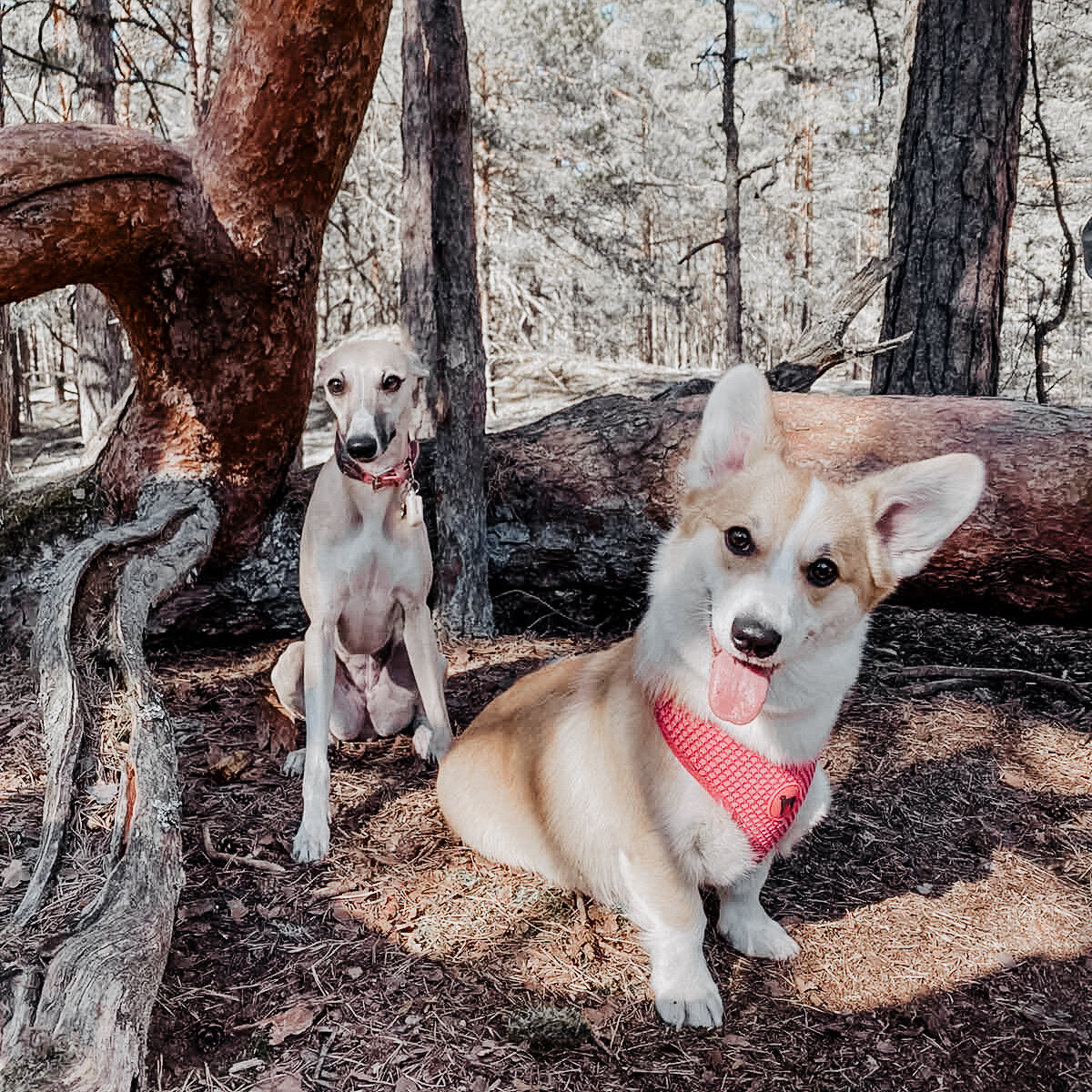 С подружкой