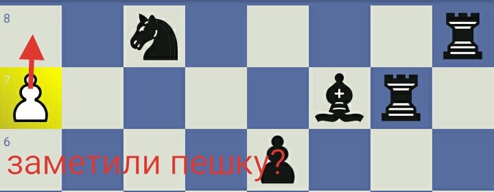 звметили пешку?