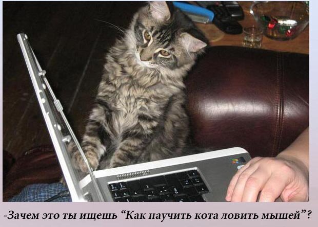 Фото из открытого доступа в авторской обработке