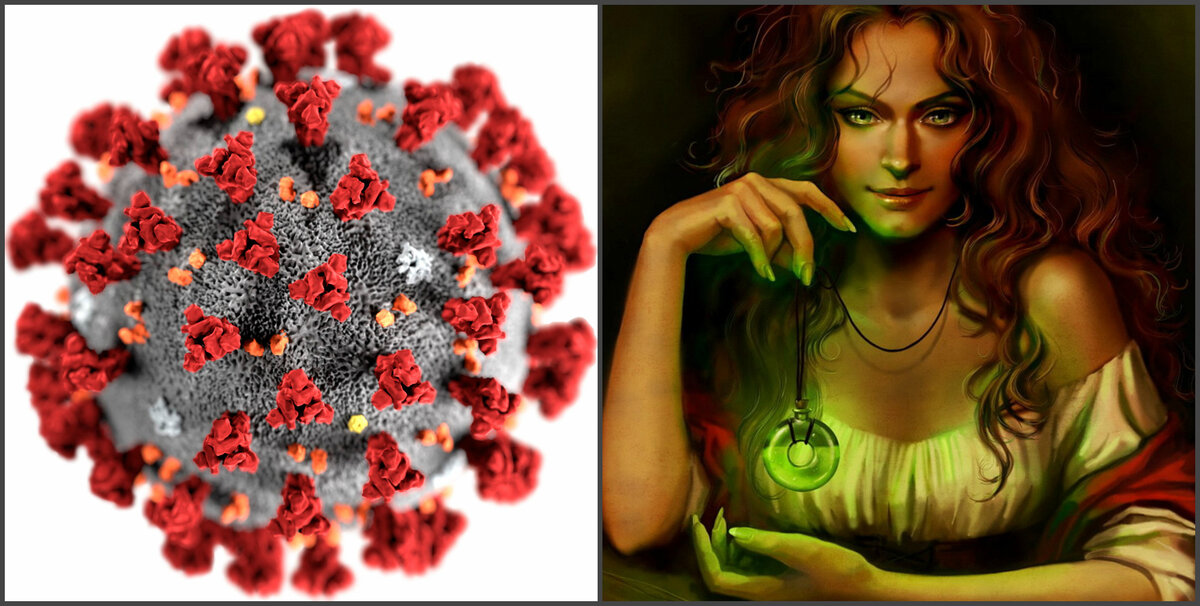 Источник изображений: yandex.ru