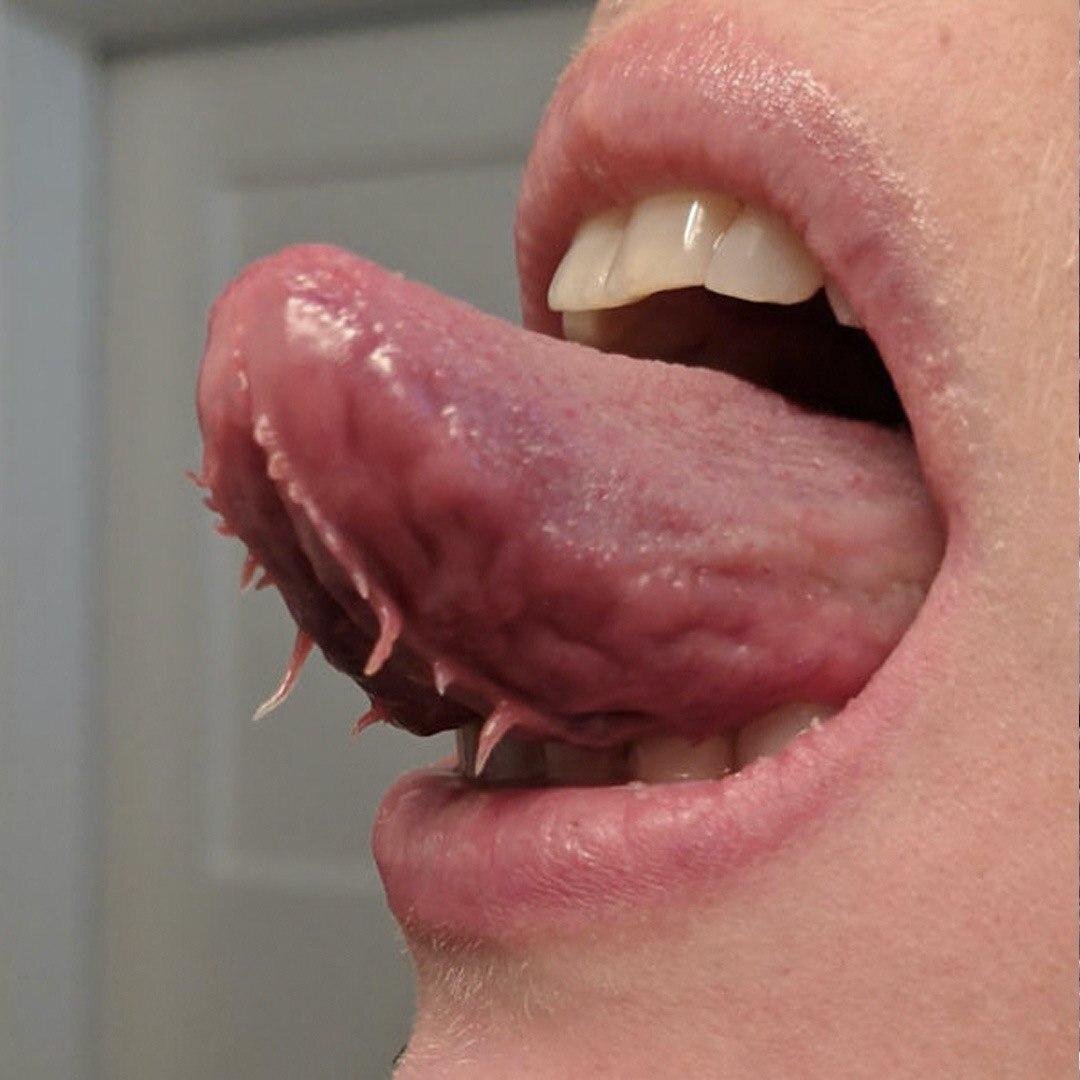 Фото взято с интернета